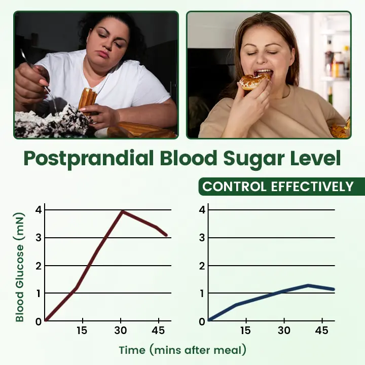 ATTDX® Moringa Berberine NAD 10-in-1 Nano Microneedle Patch