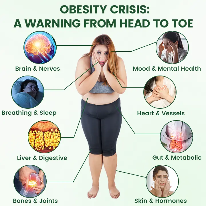 ATTDX® Moringa Berberine NAD 10-in-1 Nano Microneedle Patch