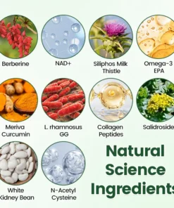 ATTDX® Moringa Berberine NAD 10-in-1 Nano Microneedle Patch