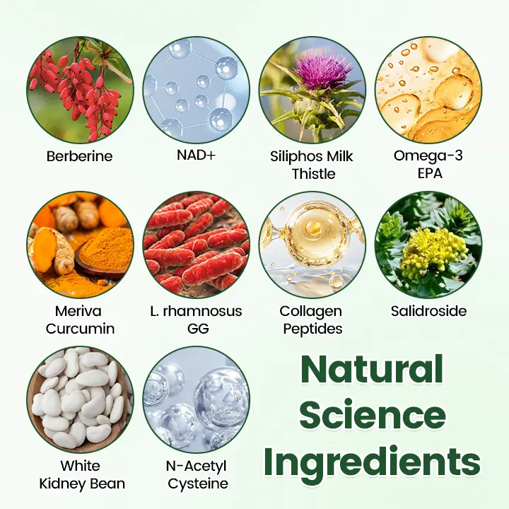 ATTDX® Moringa Berberine NAD 10-in-1 Nano Microneedle Patch